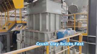 Broyeur de rouleau de dent