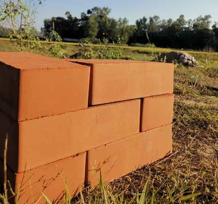 Ligne 2,5 | de Clay Brick Making Machine Production de boue pression 2.8MPa de expulsion