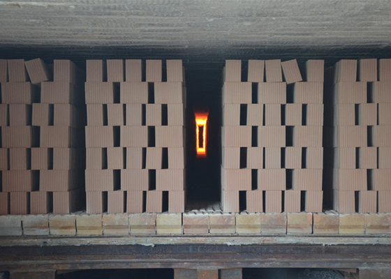 Four à tunnel de brique d'argile et brique entière de bloc faisant à projet la disposition de conception technique