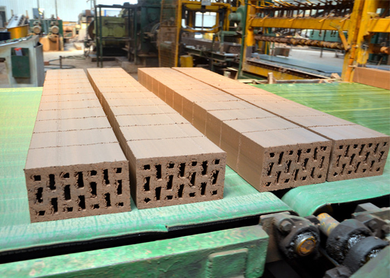 Pression complètement automatique ISO9001 de Clay Block Cutter Machine Hydraulic de coupeur de brique : 2008