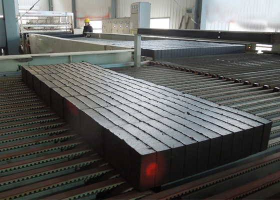 Chaîne de production complètement automatique de briques d'argile de machines d'extrudeuse de vide de matériau de construction brique faisant des machines