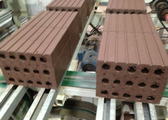 Découpeuse complètement automatique de brique de mur de machine creuse résistante de coupage par blocs