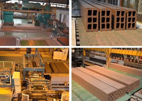 Clay Hollow Full Automatic Block rouge faisant l'extrudeuse de vide de machine