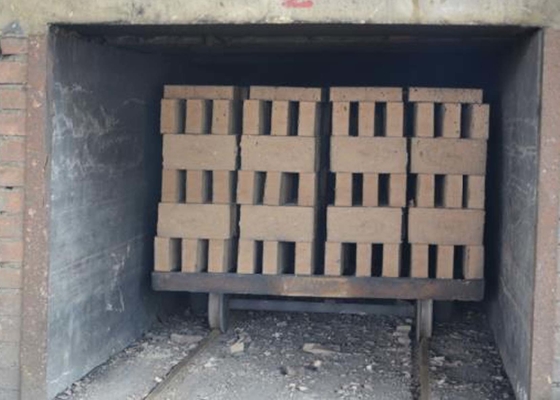 Résistance solide semi automatique d'usage de chariot de Clay Brick Dryer Machine Dry