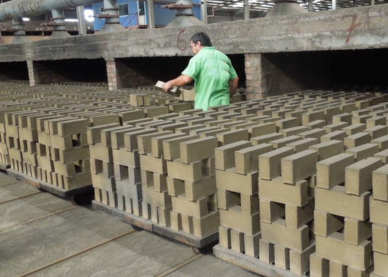 Résistance solide semi automatique d'usage de chariot de Clay Brick Dryer Machine Dry