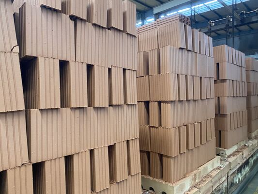 Conception de processus d'usine de briques de four tunnel pour blocs d'argile rouge personnalisés pour les marchés d'Iran, d'Irak et d'Afghanistan