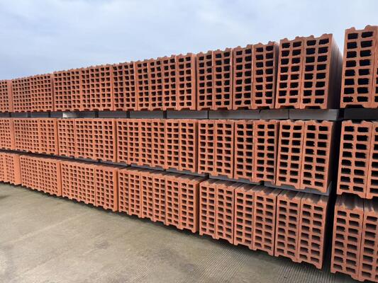 Ligne de production de briques en terre cuite Technologie de système de séchage et de cuisson pour blocs creux et panneaux muraux